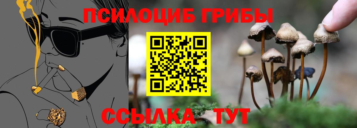 Псилоцибиновые грибы Magic Shrooms Краснокаменск
