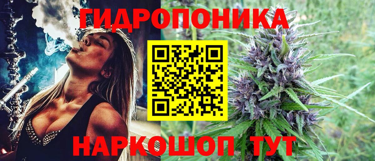 Конопля White Widow  Марихуана Amnesia  Краснокаменск  Вход с VPN  Бошки Шишки индика 