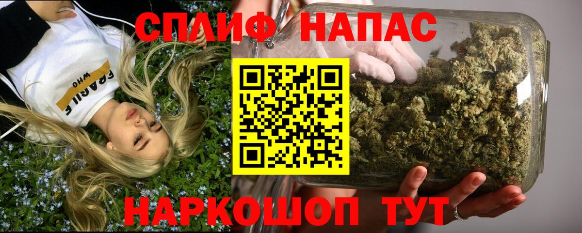 Конопля гибрид Краснокаменск